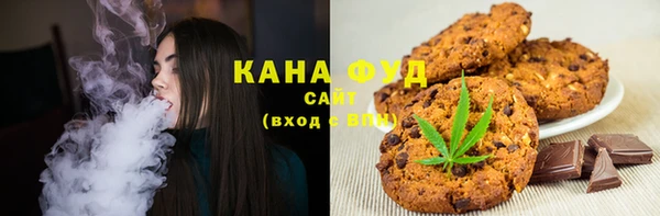 эйфоретик Няндома
