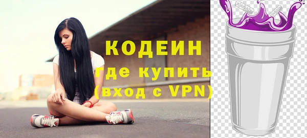 эйфоретик Няндома
