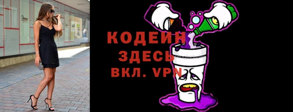 эйфоретик Няндома
