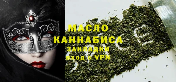 эйфоретик Няндома