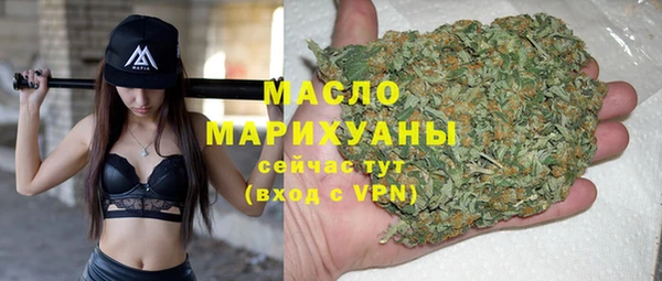 эйфоретик Няндома