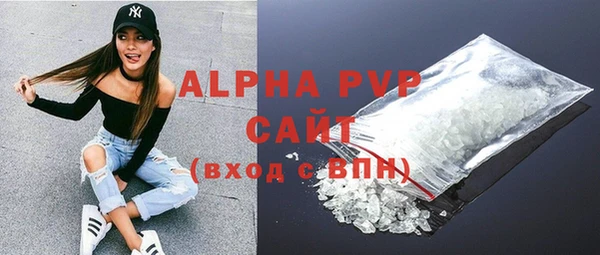 эйфоретик Няндома