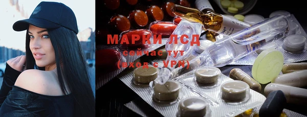 эйфоретик Няндома