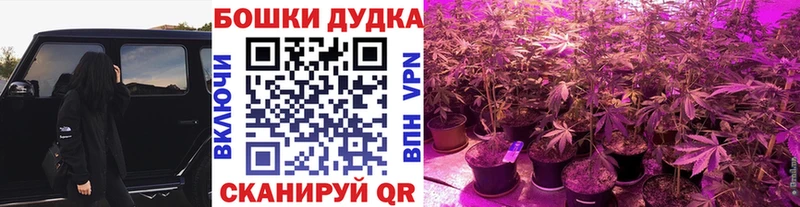 Бошки Шишки Ganja  Харабали 